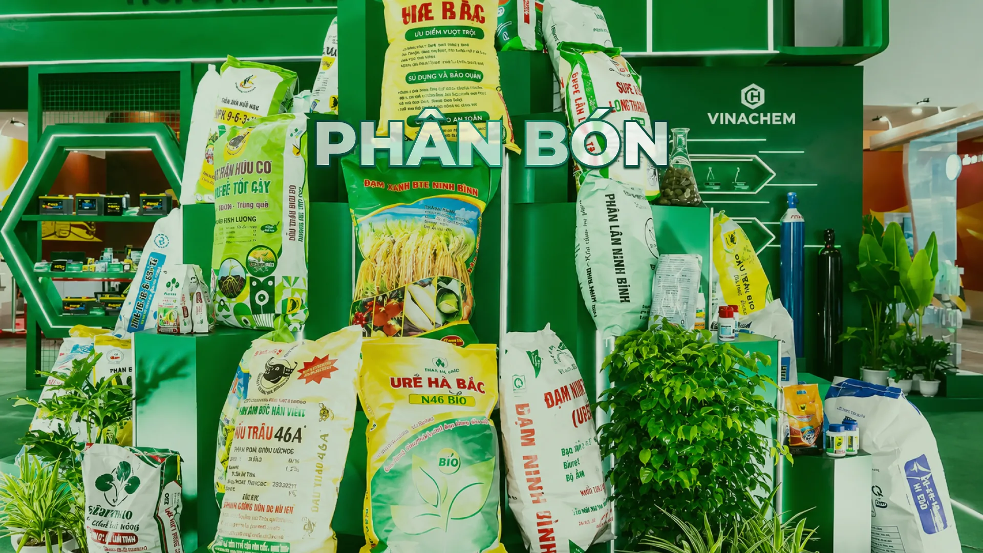 Phân bón